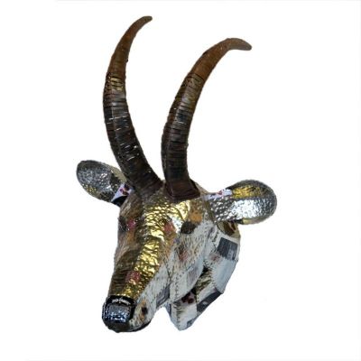 Trophy Head - Gemsbok (Black Horns)