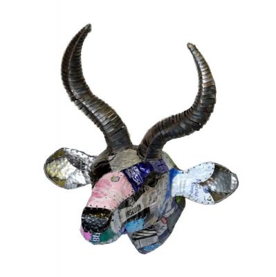 Trophy Head - Impala