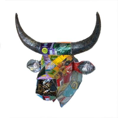 Trophy Head - Nguni Cow (Five Roses)