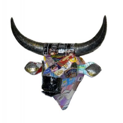 Trophy Head - Nguni Cow